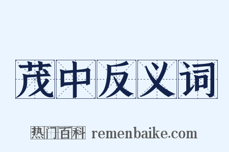 茂中反义词是什么意思的图片